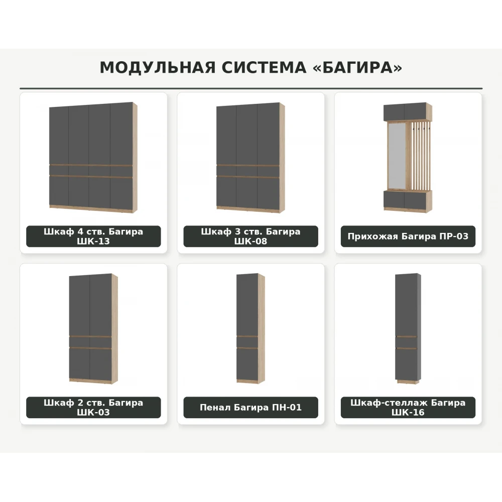 Пенал "Багира" ПН-01 Крафт/Графит